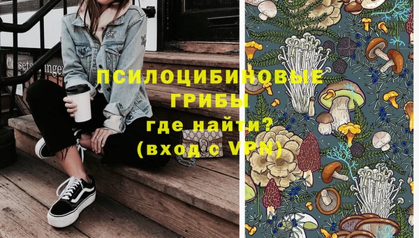 гашик Богданович