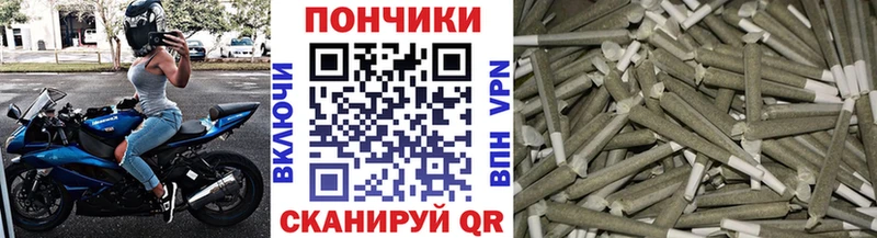 Бошки марихуана планчик  что такое наркотик  Данков 